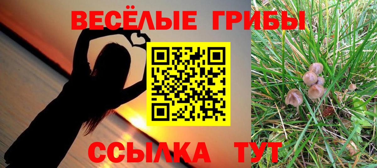 Кулебаки  Галлюциногенные грибы мицелий  Вход с VPN 