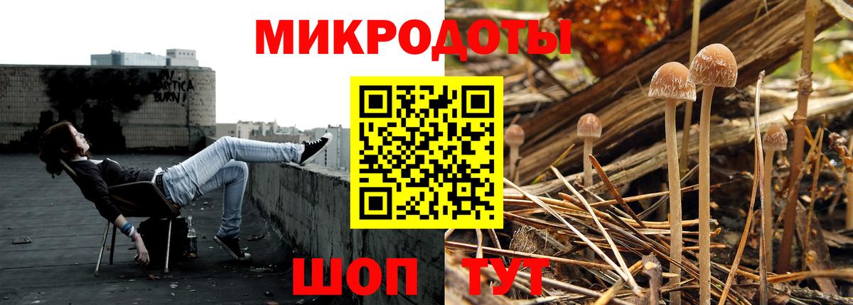 Галлюциногенные грибы Cubensis Кулебаки